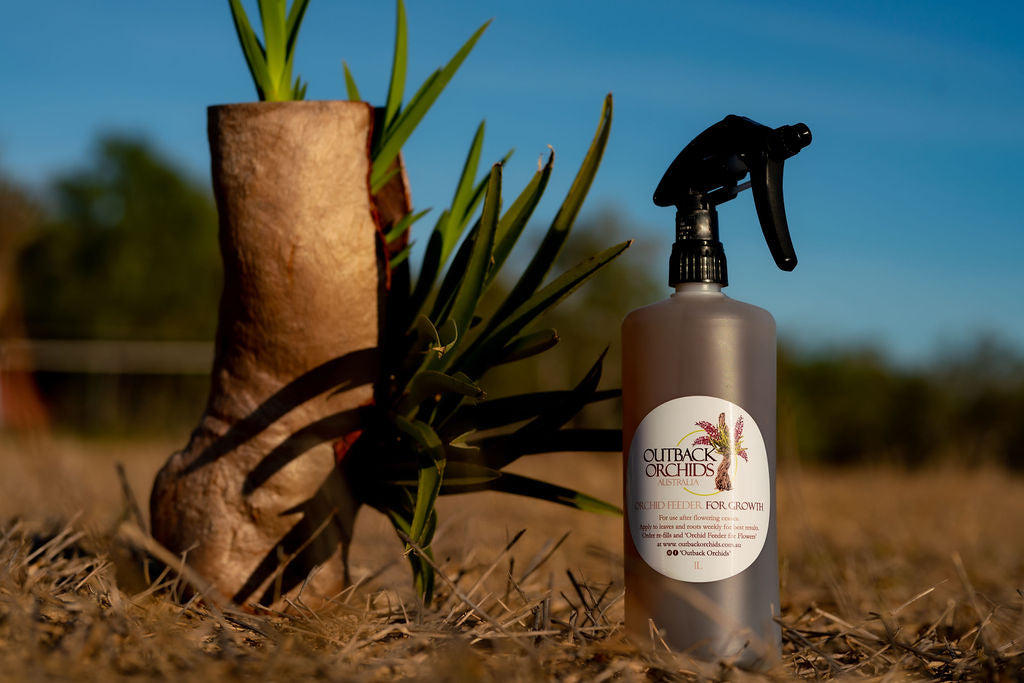 'Growth' Feeder, 1 Litre Full Spray Bottle, Re-Usable