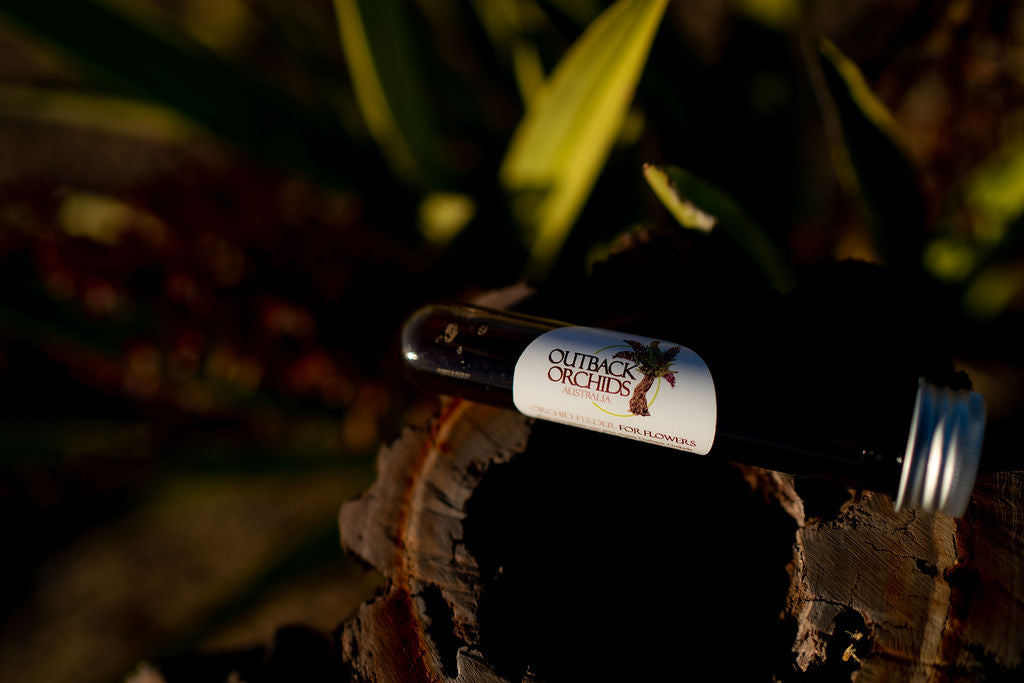 'Growth' Feeder, 1 Litre, 1 x Re-Fill