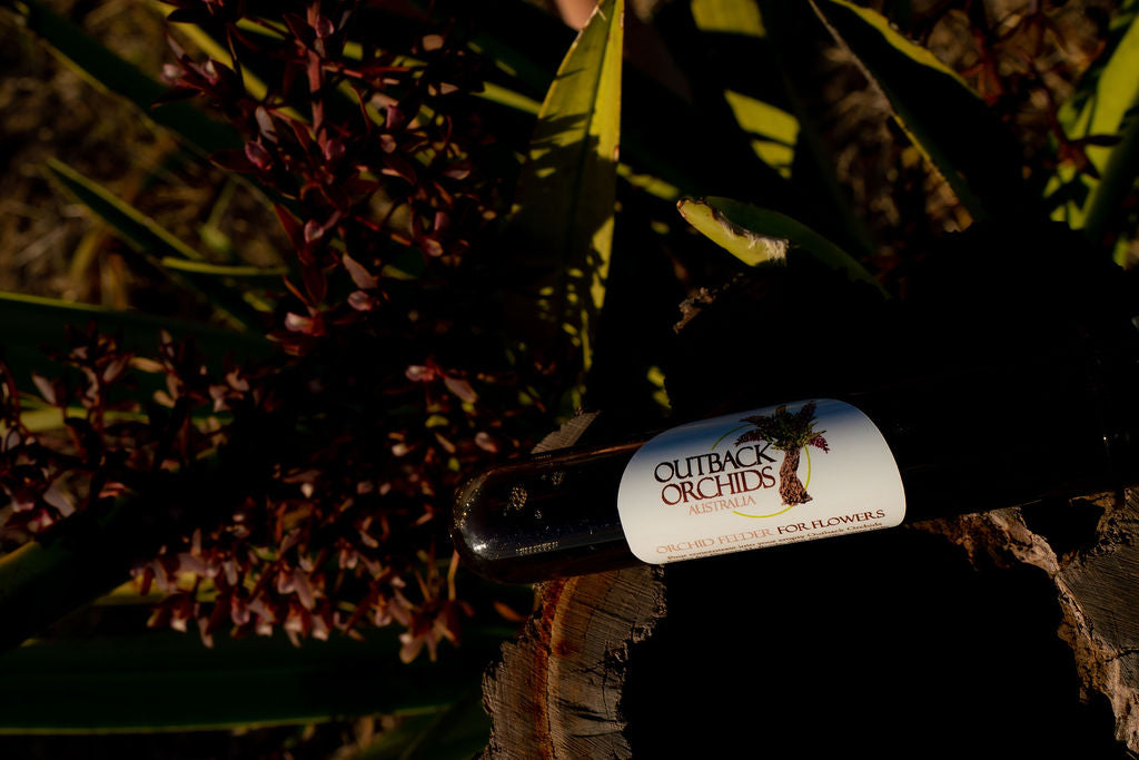 'Flower' Feeder, 2 Litre, 1 x Re-Fill