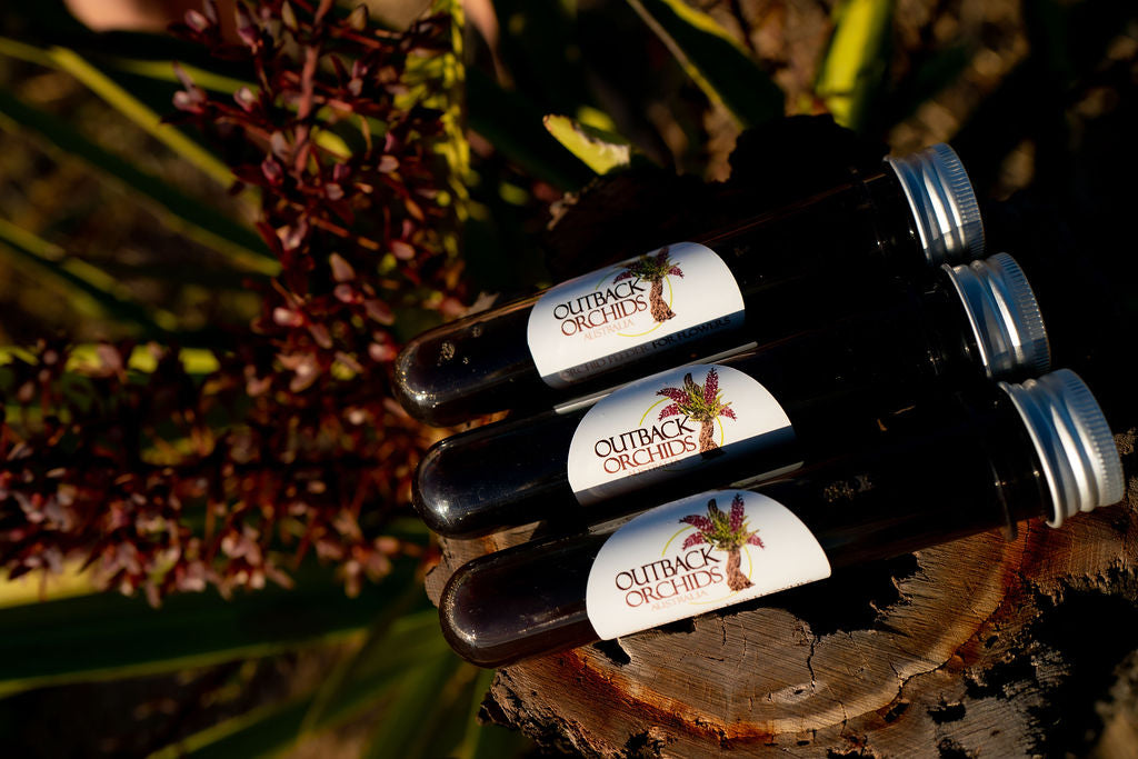 'Flower' Feeder, 2 Litre, 3 x Re-Fills