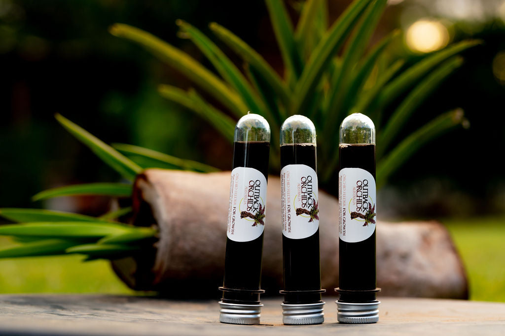 'Growth' Feeder, 1 Litre, 3 x Re-Fills