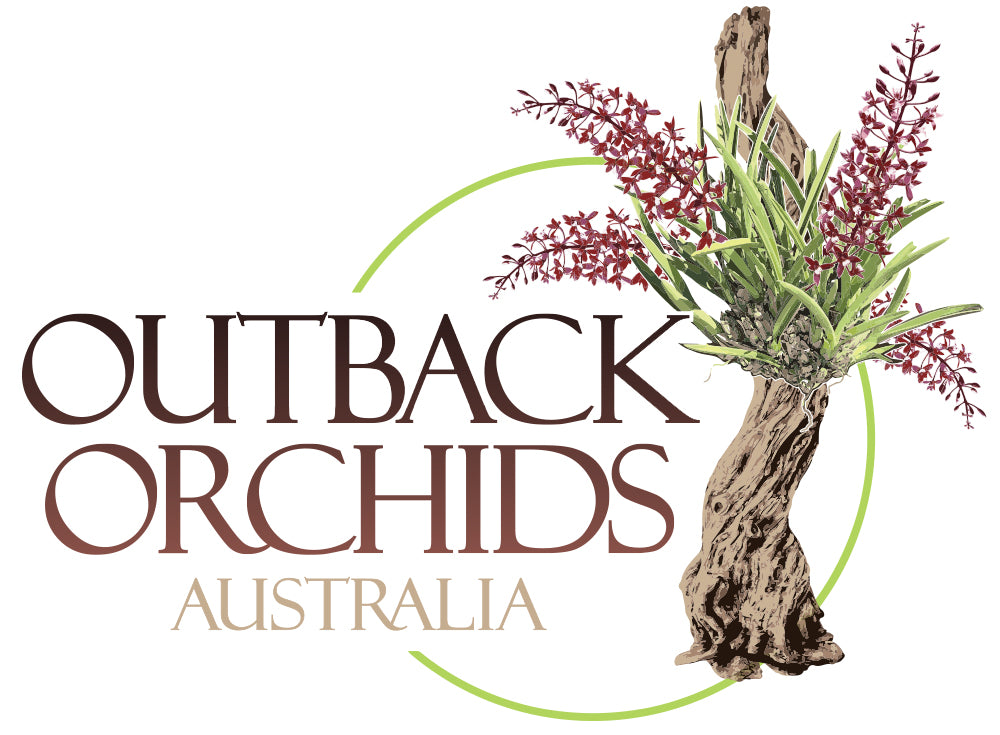 Outback Orchids Gift Cards: The Perfect Present